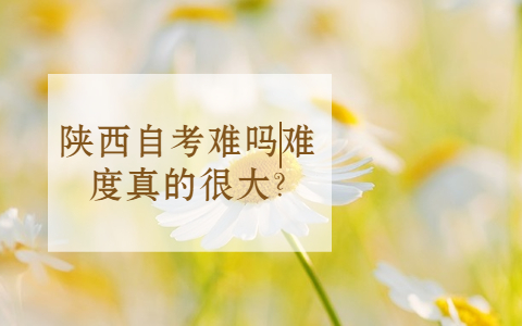 陕西自考难吗难度真的很大?