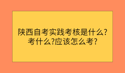 陕西自考实践考核