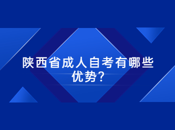 陕西省成人自考 