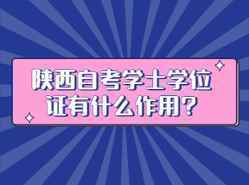 陕西自考学士学位