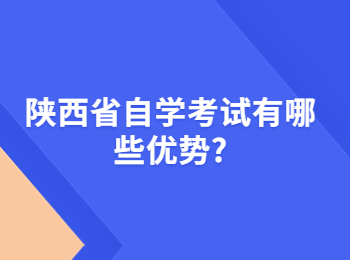 陕西省自学考试有哪些优势?