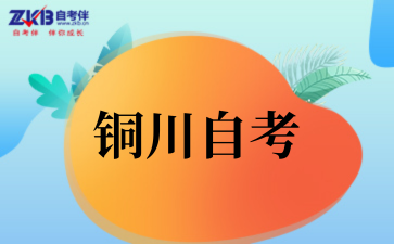 2025年下半年铜川自考成绩查询